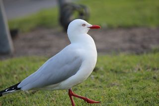 IMG_2185
